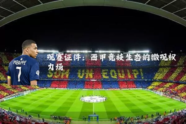 观赛证件:西甲竞技生态的微观权力场